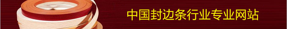 中国封边条网