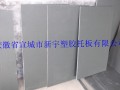 PVC塑胶托板