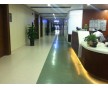 法国洁福纯进口PVC地板-洁福300，百种花色尽请选择