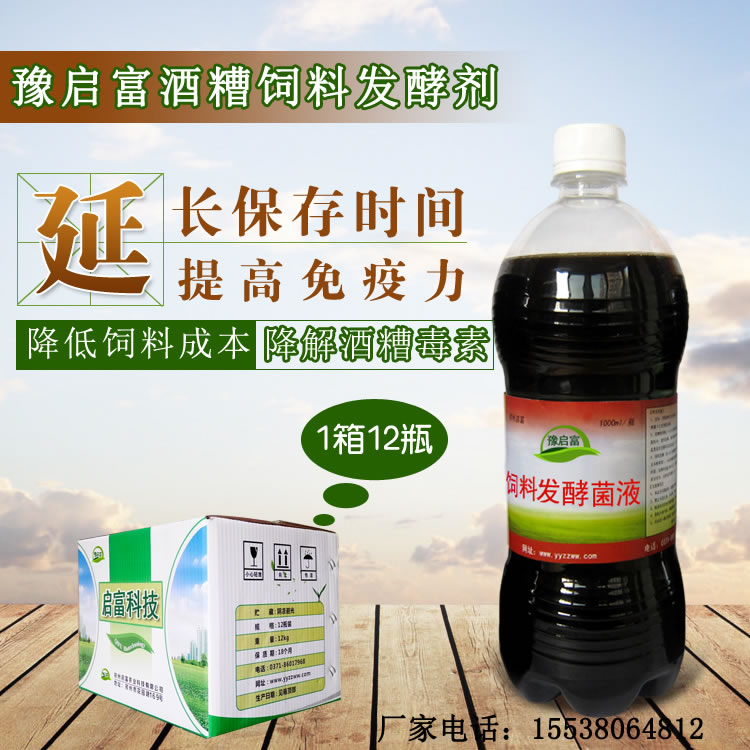 怎样能简单处理酒糟给羊吃了不会拉肚子