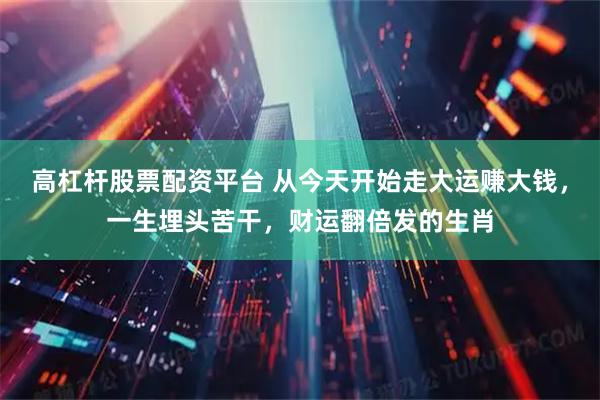 高杠杆股票配资平台 从今天开始走大运赚大钱，一生埋头苦干，财运翻倍发的生肖