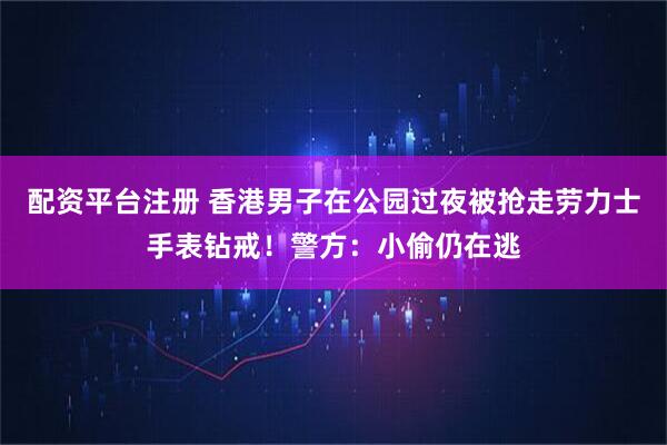 配资平台注册 香港男子在公园过夜被抢走劳力士手表钻戒！警方：小偷仍在逃
